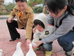 娱乐吃瓜报道怎么写的